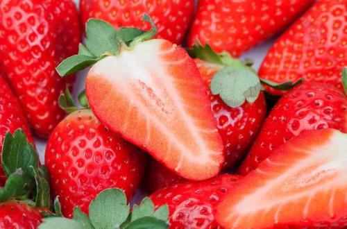 河北省栾城县特产水果范台草莓